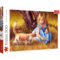 500 Piece Jigsaw Puzzles, In The Center of Attention, Jim Daly Puzzle with Little Girl and Cat, Adult Puzzles, Trefl 37291